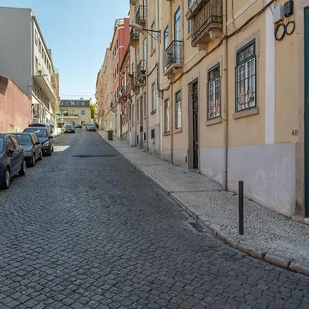 Lisbeyond - Estrela Gem - Walk To Basilica & Parks *